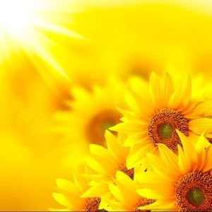 Meet your Posher, Monique